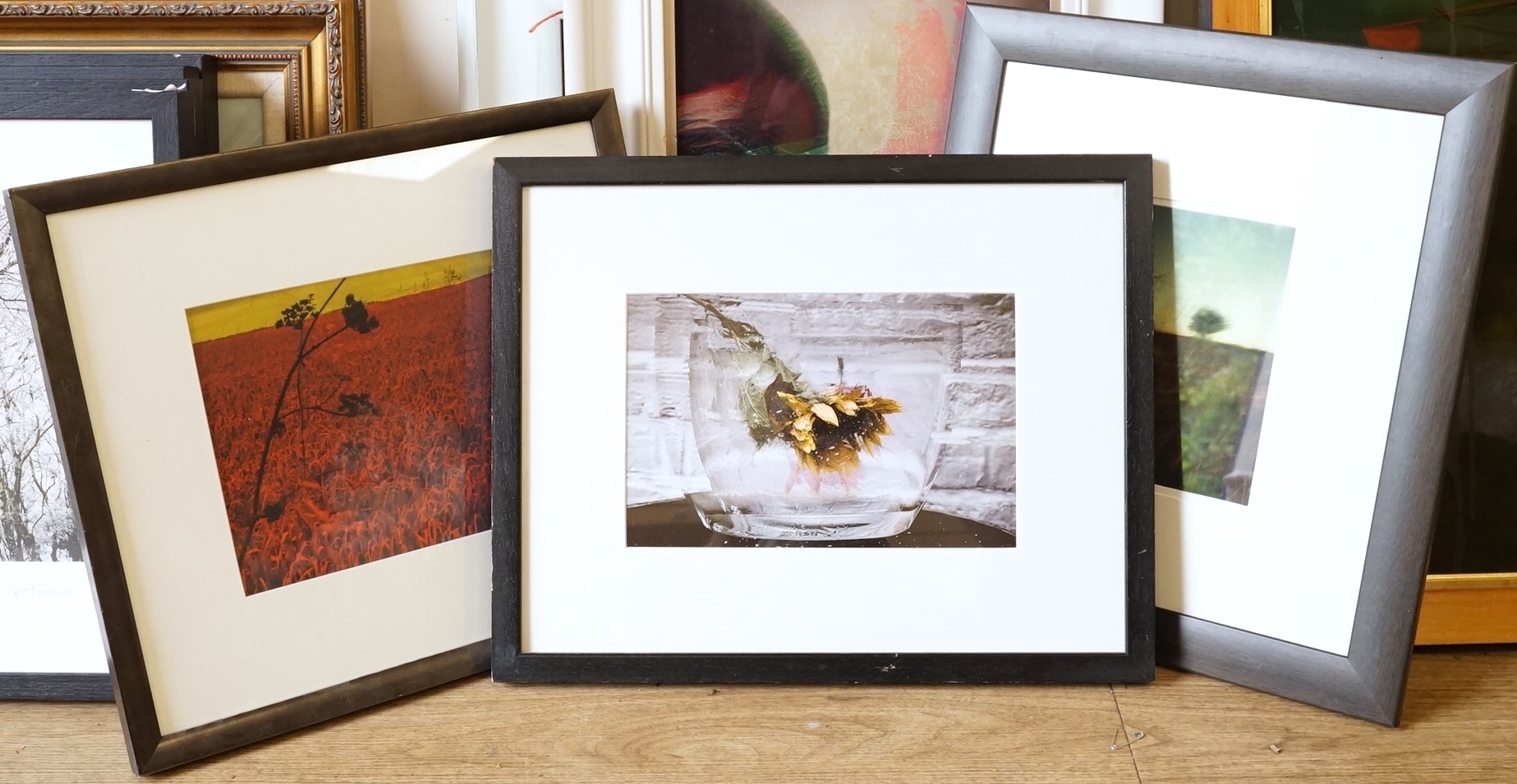 Three photographic prints, Landscapes and Sunflower in a vase, unsigned, largest 17 x 27cm